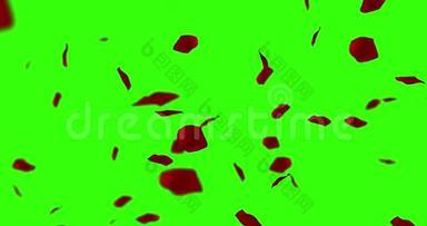 红玫瑰花瓣在彩色钥匙上飞舞，绿色屏幕背景，假日爱情，关系和情人节